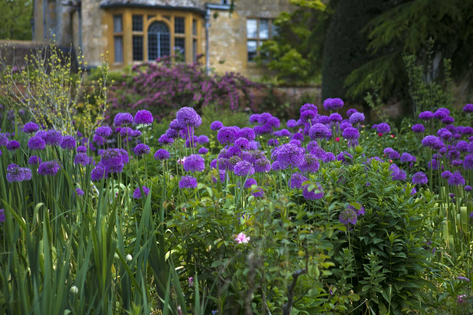 hidcote manor