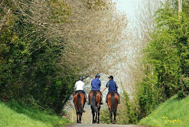 Three horse riders on a trail