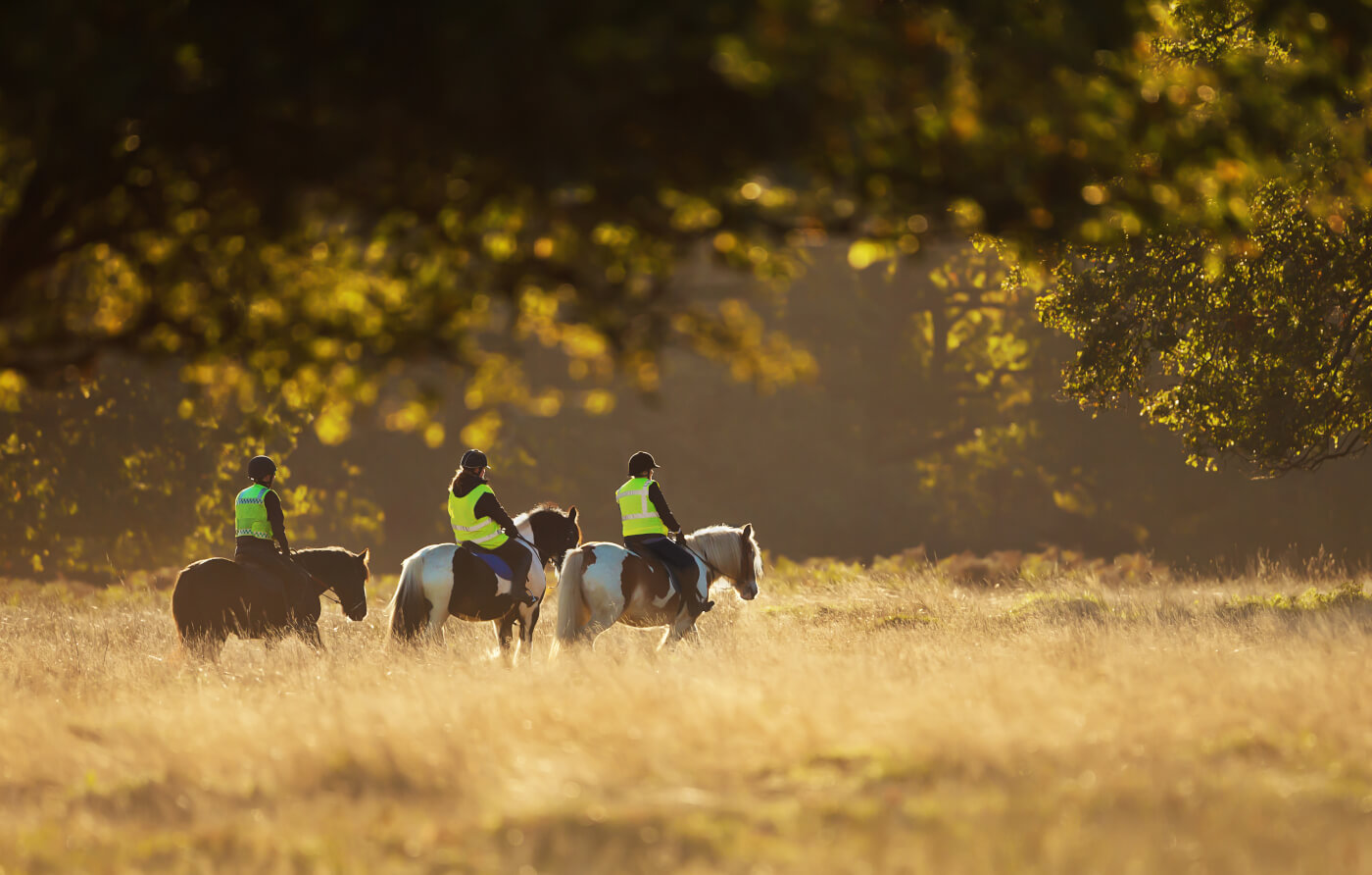 Three Horse Riders on a summer afternoon