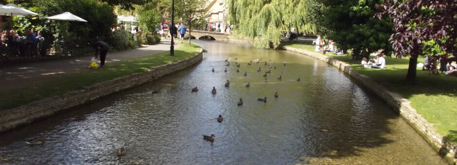 Ducks floating on the river in Bourton-on-the-Water