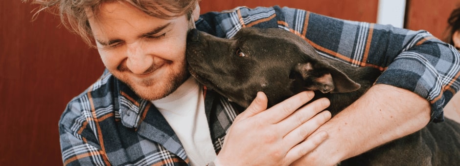 Dog licking owners face at The Pet Show