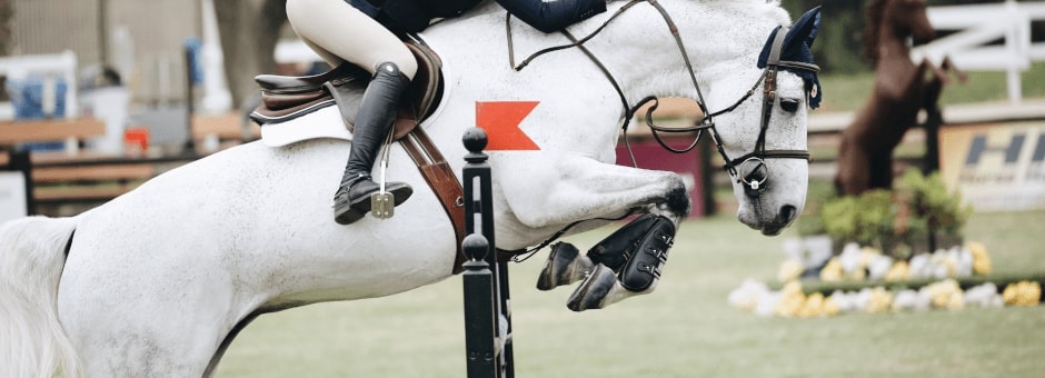 Horse jumping at Blenheim Horse Trials