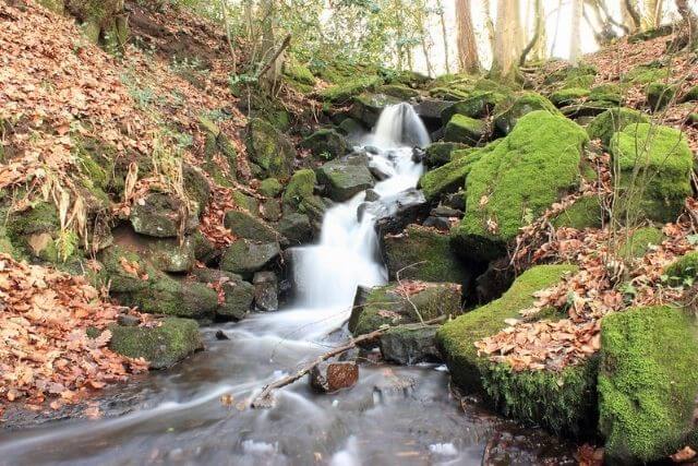 Cleddon Falls cascading through the valley