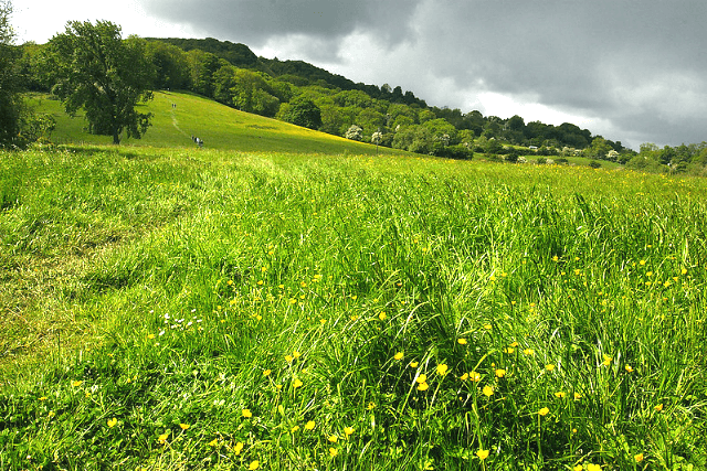 Walk Up To The Summit Of Cooper's Hill