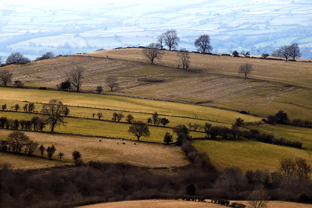 Hay on Wye