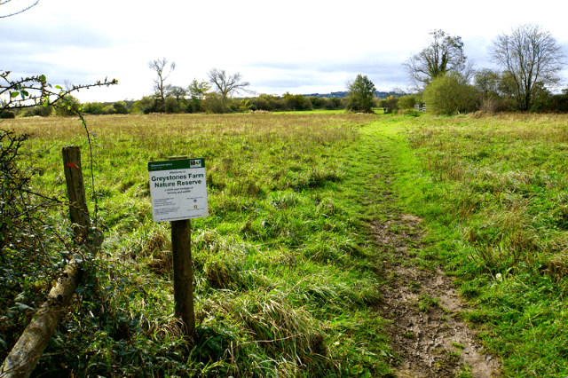 Greystones Farm