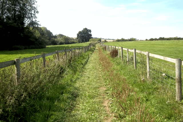 The Windrush Way Walk