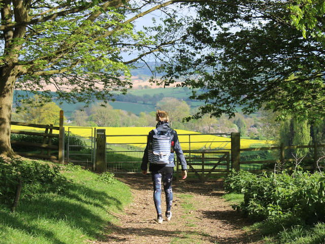 Walking in the cotswolds country park