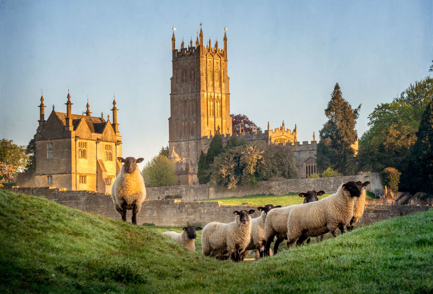 Chipping Camden church with sheep in foreground