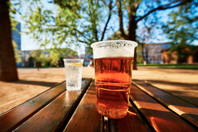 Cup of beer and water in English beer garden