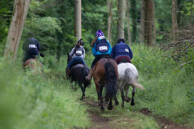 Horse-riding holidays in the UK