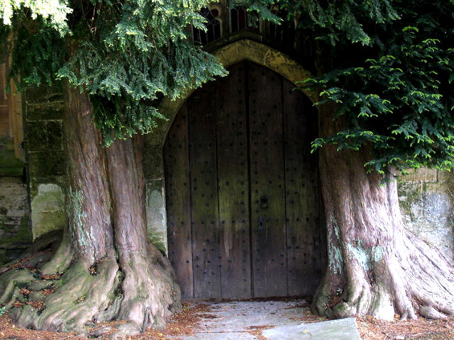 Wooden Door at St Edwards Square