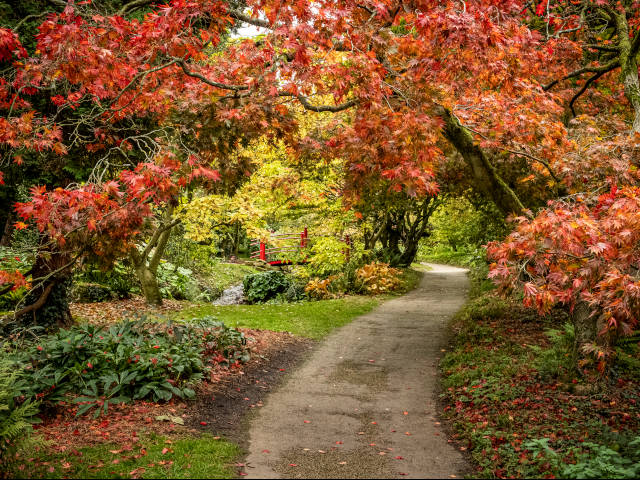 batsford arboretum